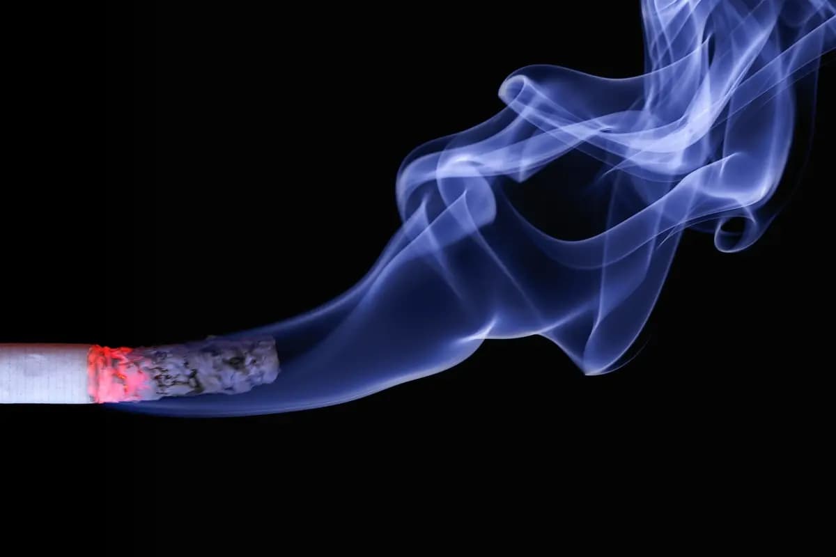 Wacana Legalisasi Rokok Ilegal Tuai Kritik, Pakar: Pemerintah Main-Main dengan Hukum